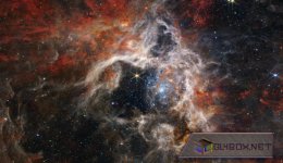 tarantula-nebula.jpg